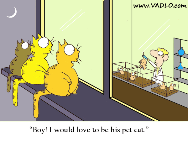 Postdoc & Cats - Boy I would love to be his pet cat.